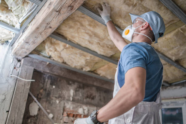 Professional Insulation Contractor in LA