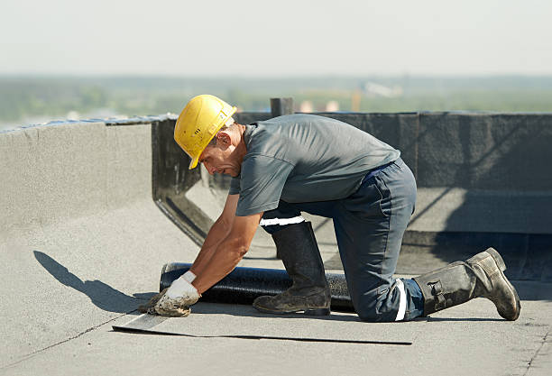 Best Insulation Installation Services in St Martinville, LA