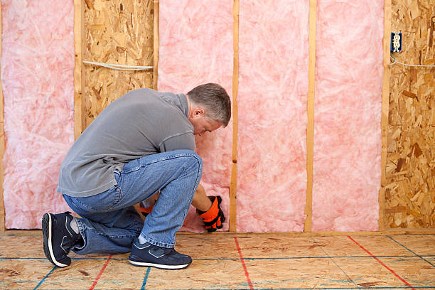 Best Insulation for Specific Applications in St Martinville, LA
