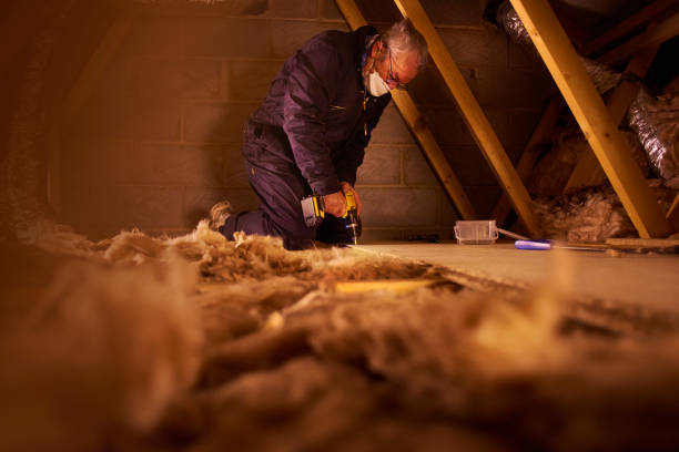 Best Insulation Maintenance and Repair in St Martinville, LA